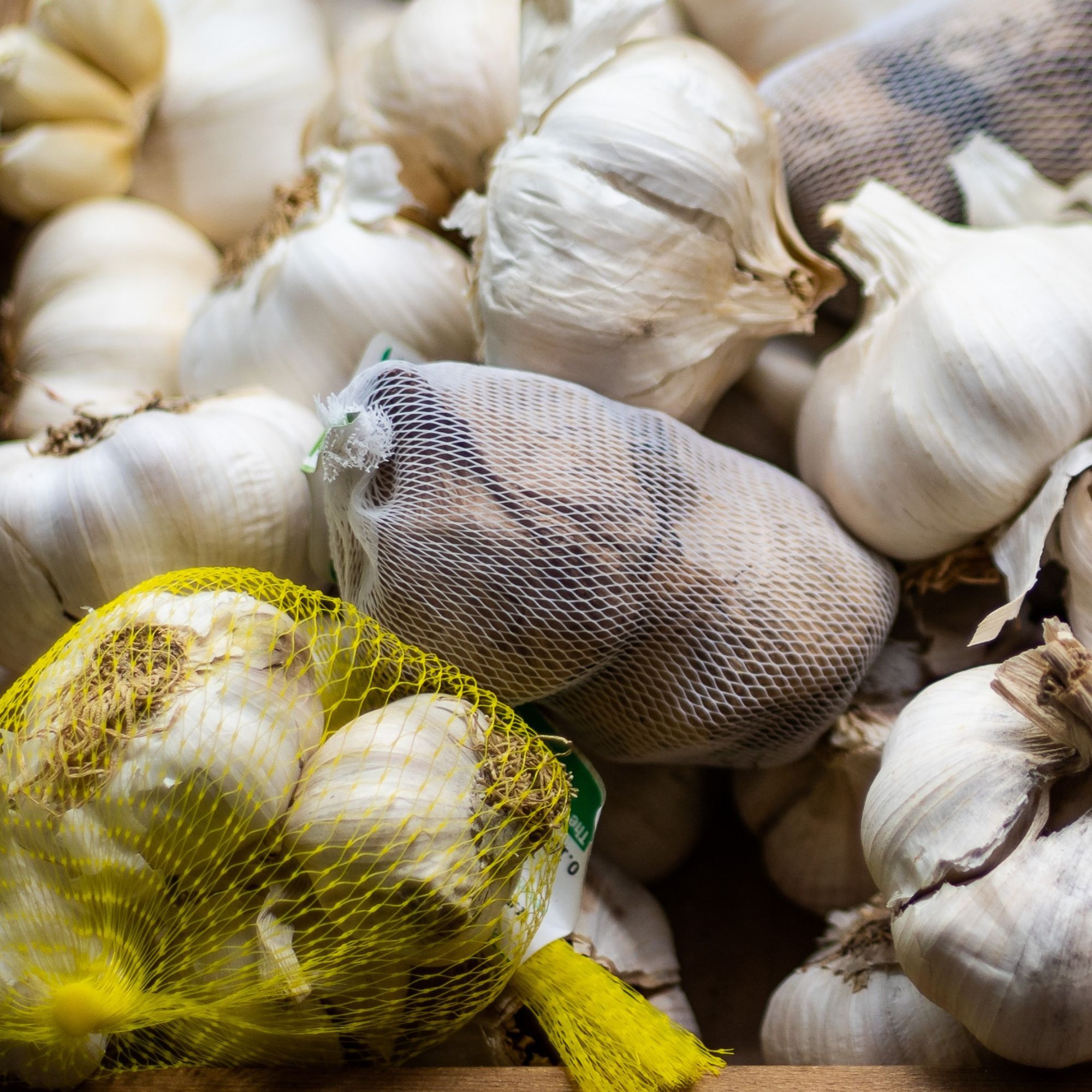 Garlic Bulbs - Softneck - Nootka Rose - Sets For Planting in Fall - Bag of 3 Bulbs - Silversking Group - Allium sativum - Garden